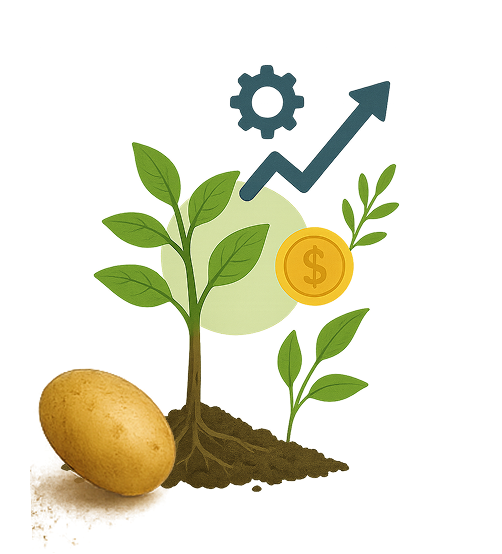 Optimización de recursos