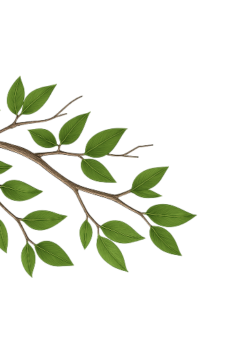 Decorativo