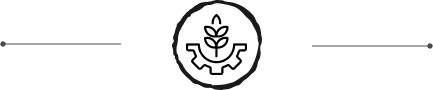 Decorativo